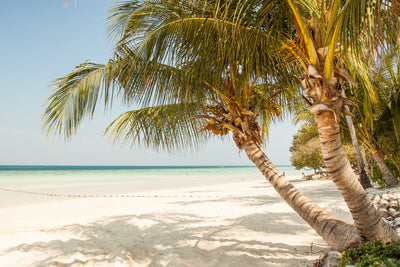 Five Beach Safety Tips for Your Summer Vacation
