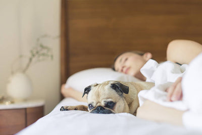 5 Tips For Falling Asleep Faster