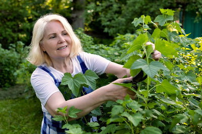 Gardening Without Muscle Pain