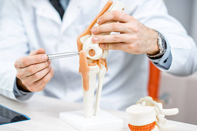 Diet & Bone Health: How They're Related