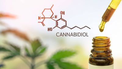 Here's How CBD Works