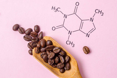 What Does Caffeine Do to Your Brain?
