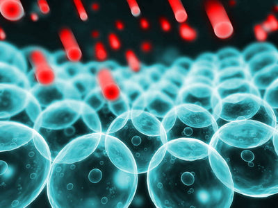 How Aging Impacts Your Cells